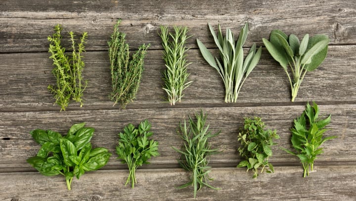 Herbs lined up on a distressed wood background.