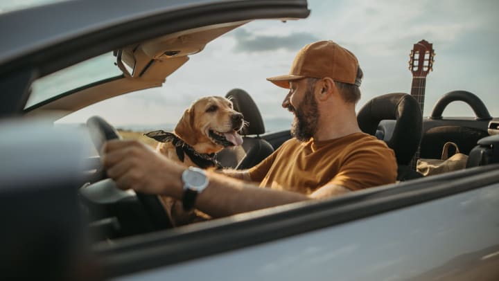 man and his dog traveling in car