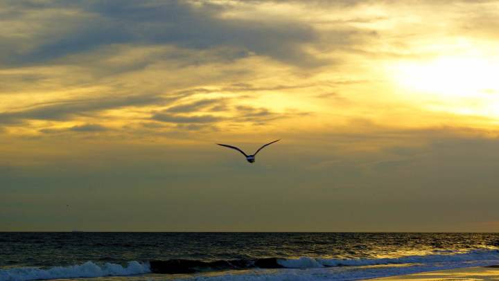 A sunset at Robert Moses State Park in New York