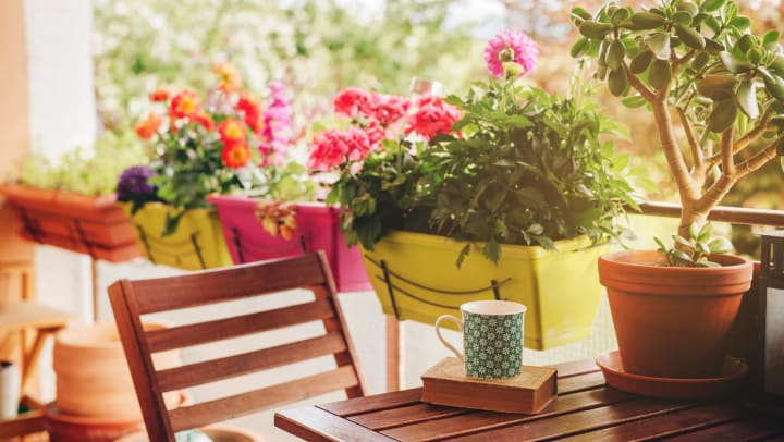 Cozy balcony with many potted plants, cup of tea and old vintage book on a wooden bistro set.