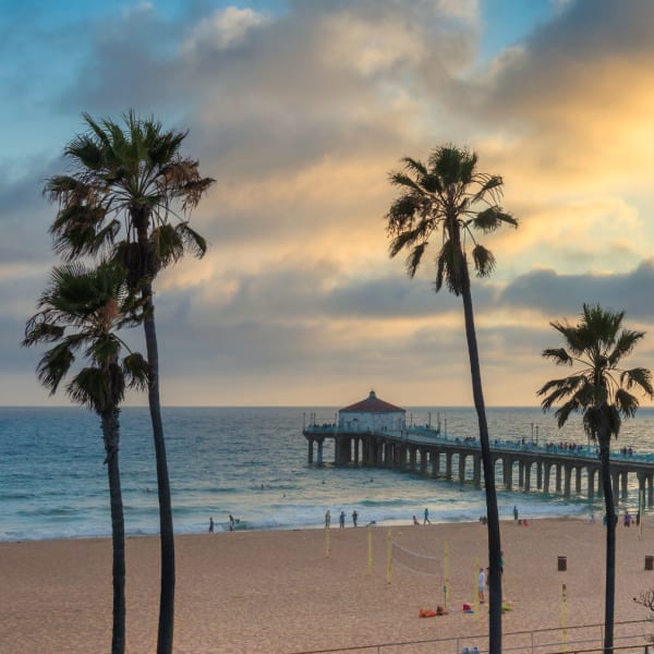 Palm trees on a beach near NextGen Properties in Costa Mesa, California