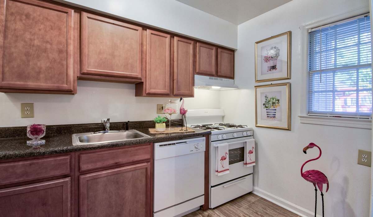 Spacious kitchen with a granite countertop and wooden cabinetry at Berkshire and Barter Court Apartments in Charlottesville, Virginia