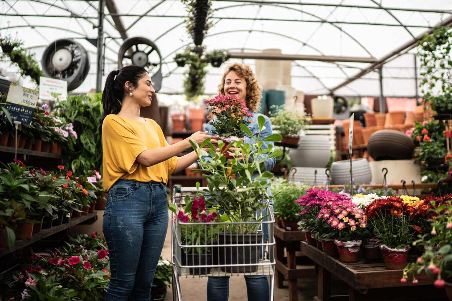 Resident buying plants near Amberly Trace Apartments in Burlington, North Carolina