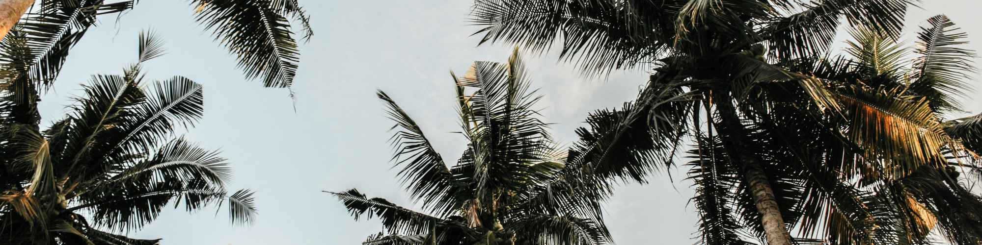 Neighborhood | Dawson in Orlando, Florida