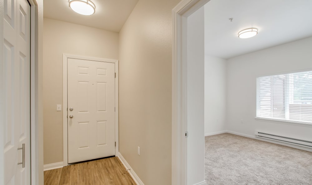 Lots of natural light in your apartment home at Woodland Apartments in Olympia, WA