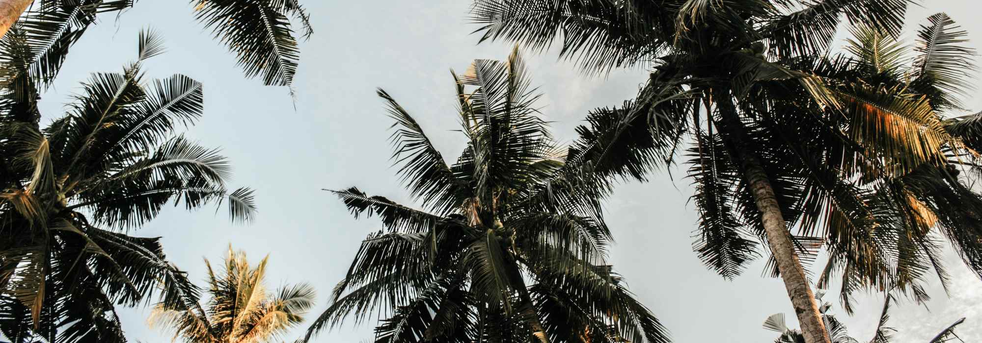 Neighborhood at The Walton in Sanford, Florida