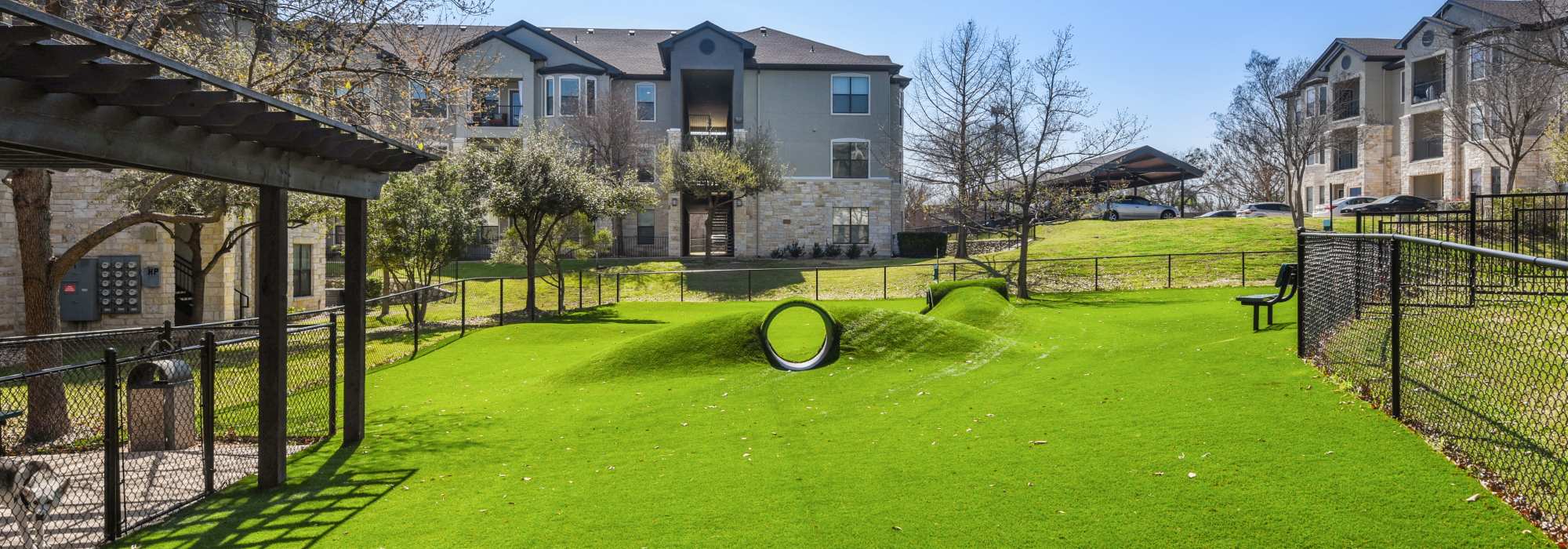 Pet Friendly at Collier in Pflugerville, Texas   