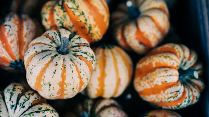 Small pumpkins piled up