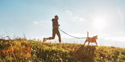 Resident taking his dog to a local park near Ascent Apartments in Colorado Springs, Colorado