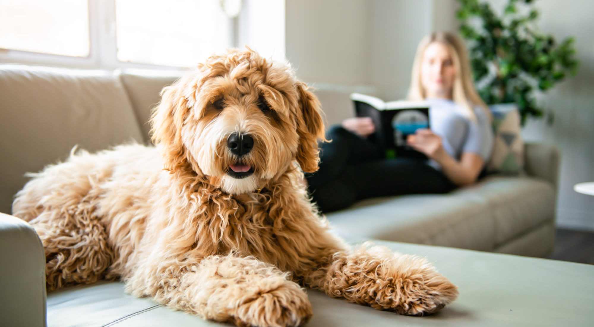 Pet Friendly | Norwood Walk in Troutman, North Carolina