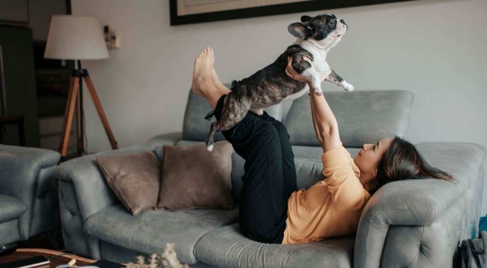 A resident in her living room with a pet dog  at The Depot at North Salem in Apex, North Carolina