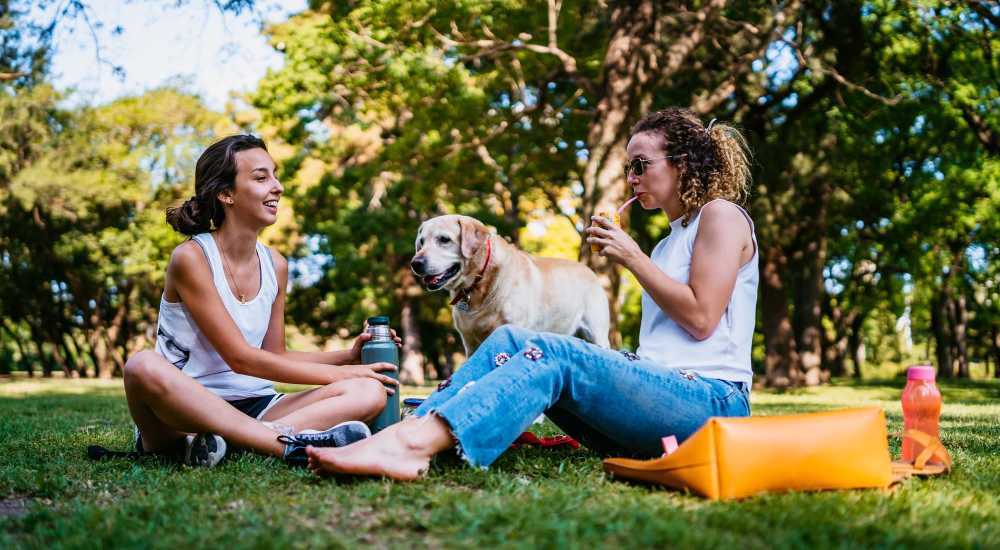 Residents with a dog in a park near The Summit At Old Trail in Crozet, Virginia