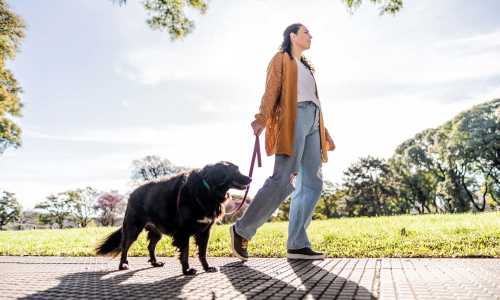 Resident walking their pet dog in a local park near Reedville Meadows in Beaverton, Oregon