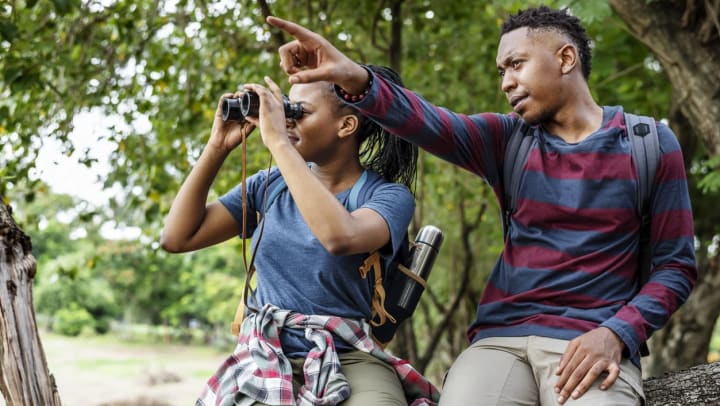 Couple birdwatching in a forest with binoculars.