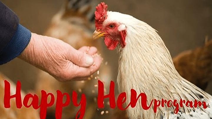 Happy Hens Program