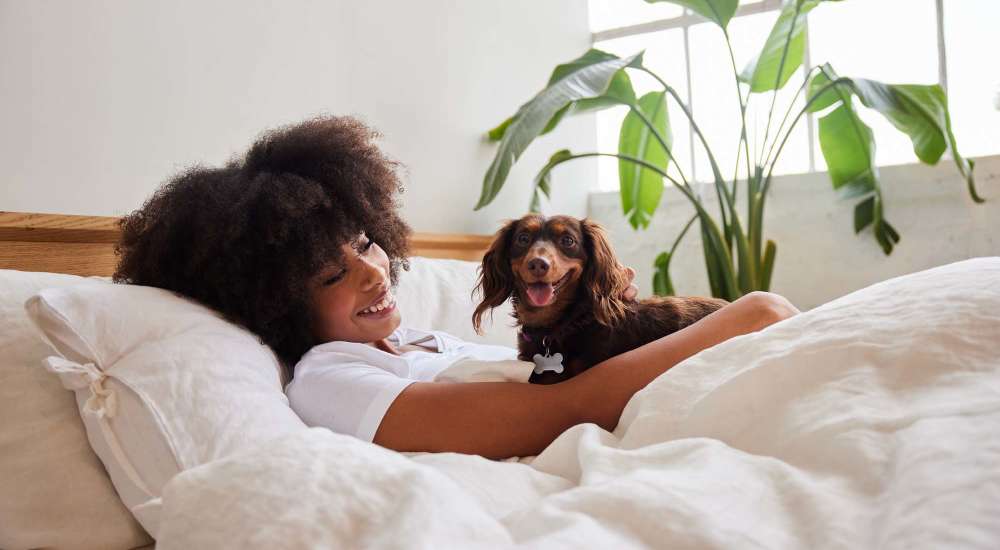 Pet-friendly at The Victorian in Dallas, Texas