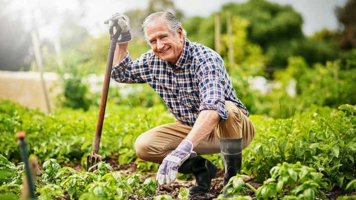 Senior gardening