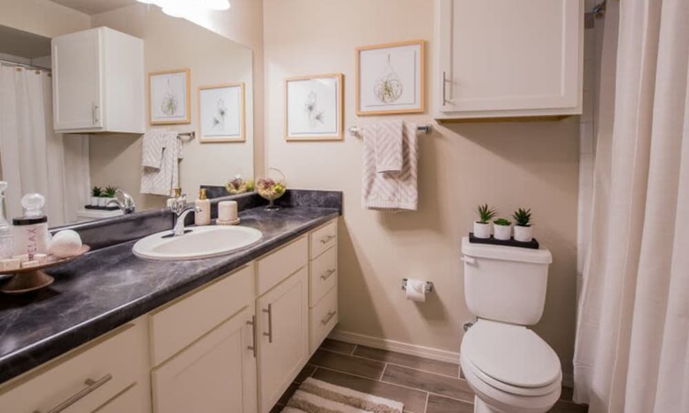 Clean bathroom at Watercress Apartments in Maize, Kansas