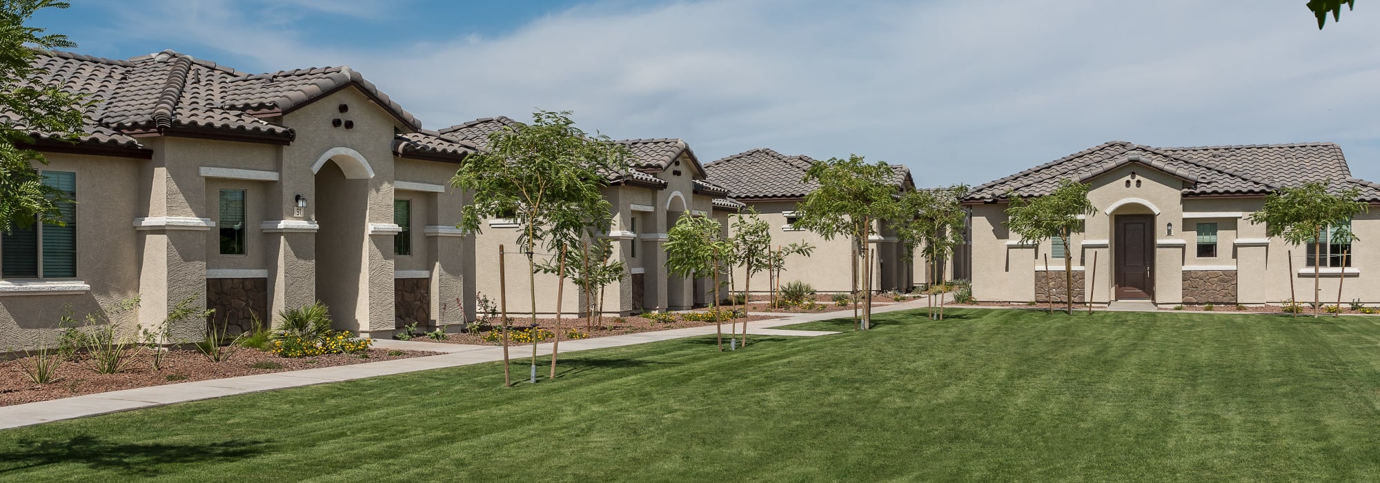 Airy community lawn at TerraLane on Cotton in Surprise, Arizona