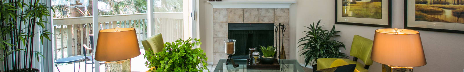 Pet policy at The Colonnade Luxury Townhome Rentals in Hillsboro, Oregon