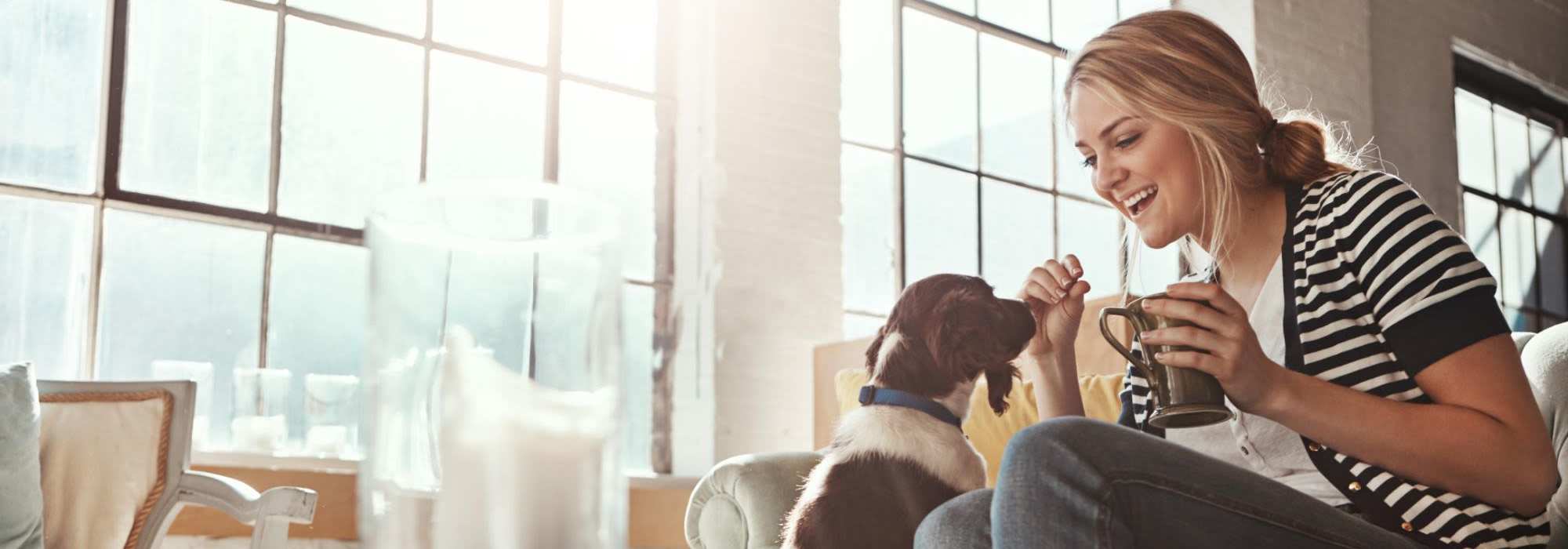 Pet friendly at Lantera Apartments in Seattle, Washington