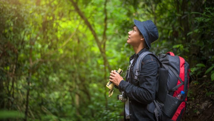 a man holds binoculars while looking up at the sky in a forest | bird-watching in Carrollton