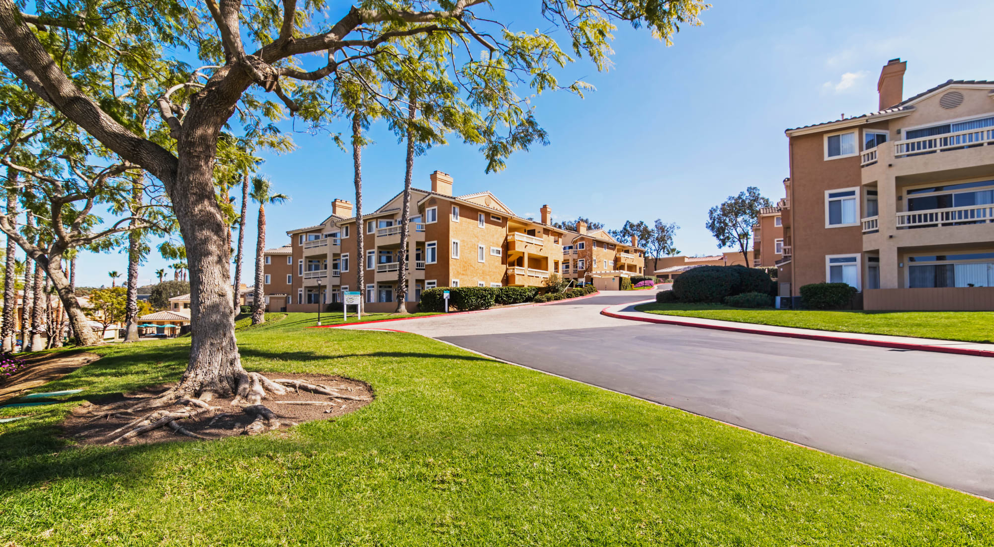 Neighborhood at Sofi Canyon Hills in San Diego, California