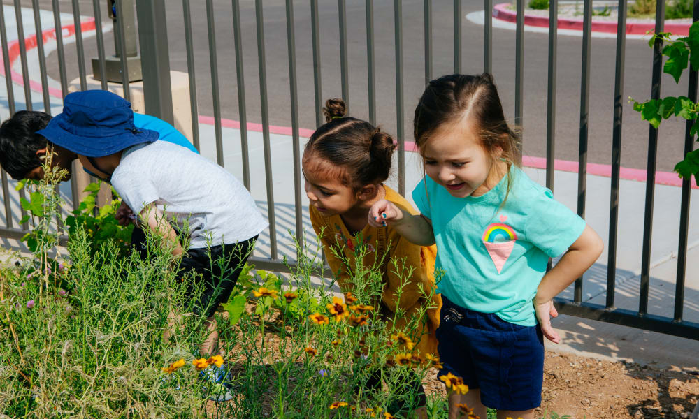 Children playing at Amaran Senior Living in Albuquerque, New Mexico.