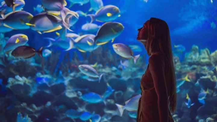 A woman looking at a school of fish in an aquarium.