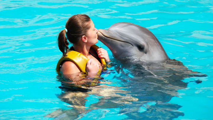A woman wearing a yellow life vest kisses a dolphin at an adventure park | Gulfarium Marine Adventure Park