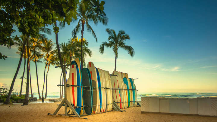 Surfboards stored on a beach in O