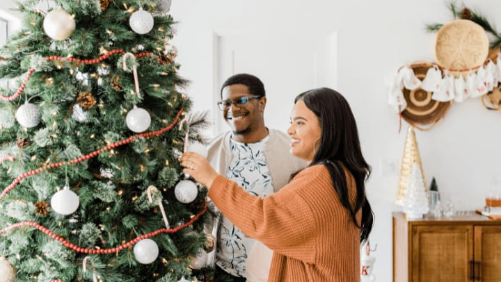 Holiday Christmas Tree guide storage 