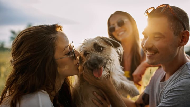 A group of smiling adults being affectionate with a senior dog.