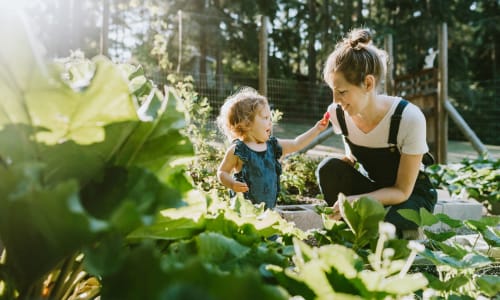 A woman with her child gathers vegetables from the garden at Courtyard in Hayward, California