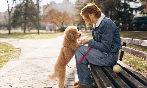 Resident cuddling their dog at Reedville Meadows in Beaverton, Oregon
