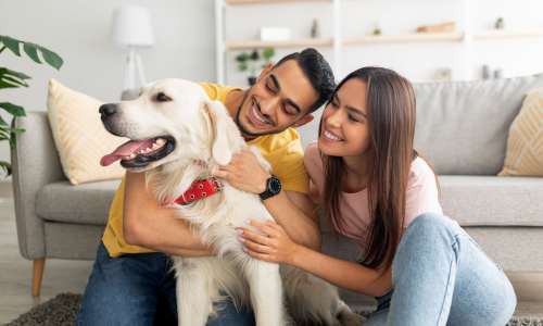 Residents playing with their dog at Blanton Commons in Beaverton, Oregon