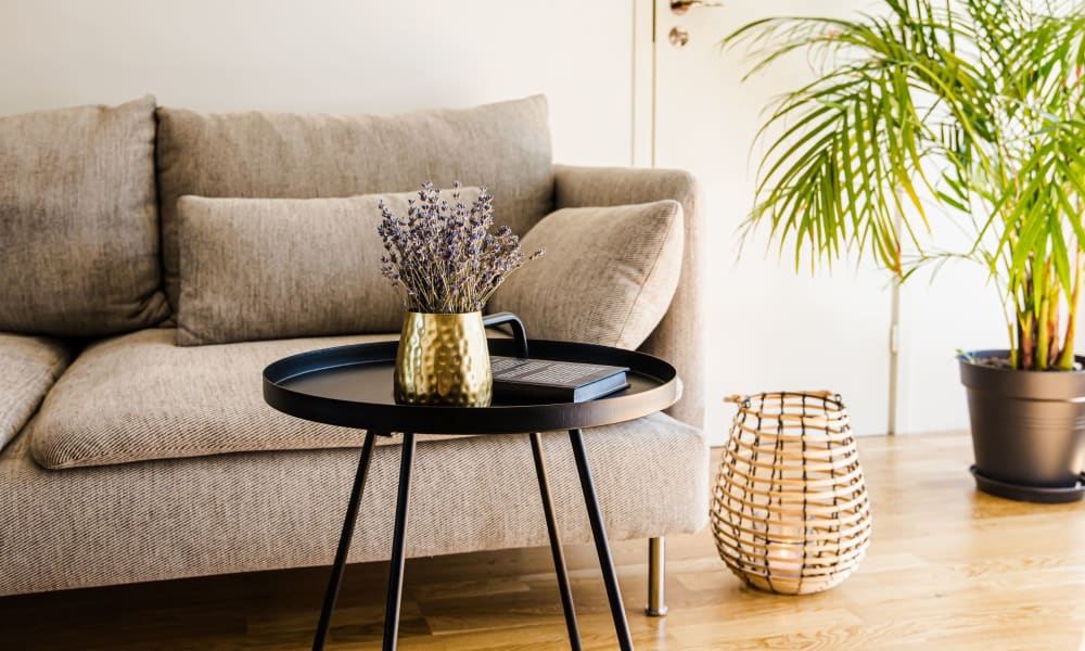 Living room in a home at Castleberry Property Management Group inc. in Birmingham, Alabama