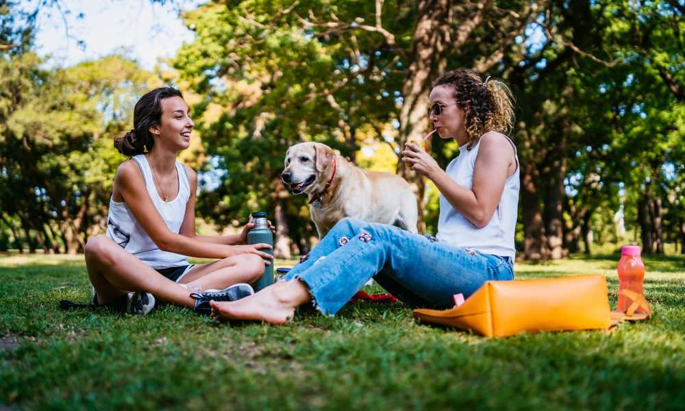 Residents and their dog sitting on the grass at a park near Sage Creek Apartments in Augusta, Georgia