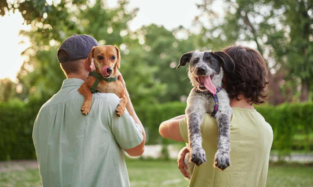 Residents holding their dogs at Steele Creek in Jacksonville, Florida 