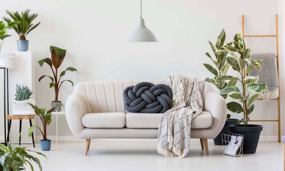 Well decorated living room at Windscape Apartments in Hobbs, New Mexico