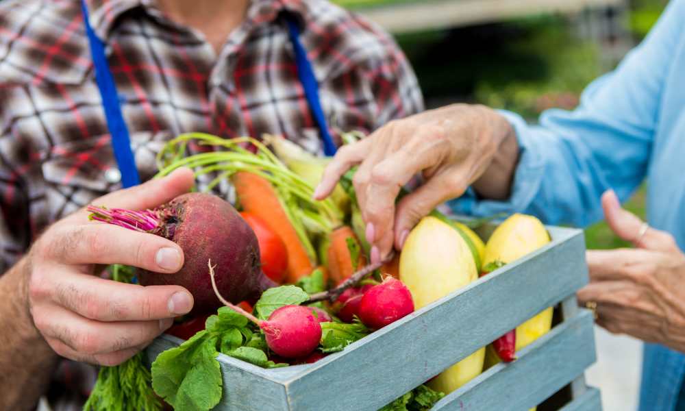 Resident collecting fresh produce near Pin Oak Village in Bowie, Maryland