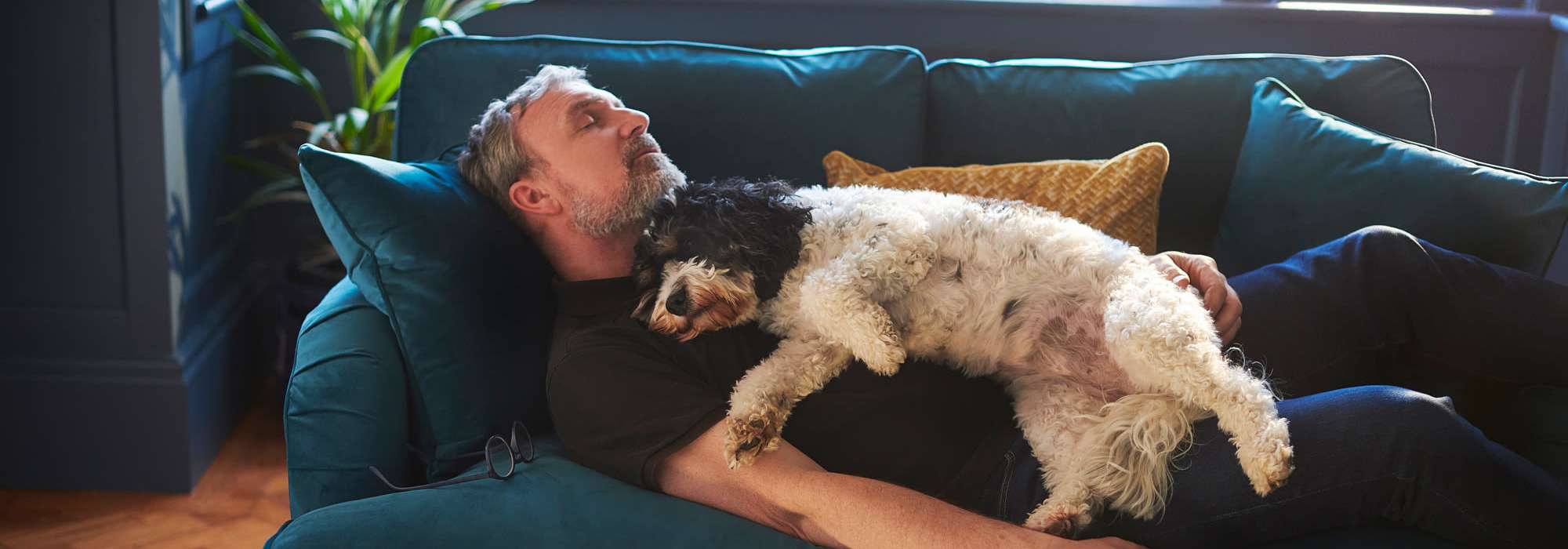 Pet friendly living at The Lofts in Sacramento, California