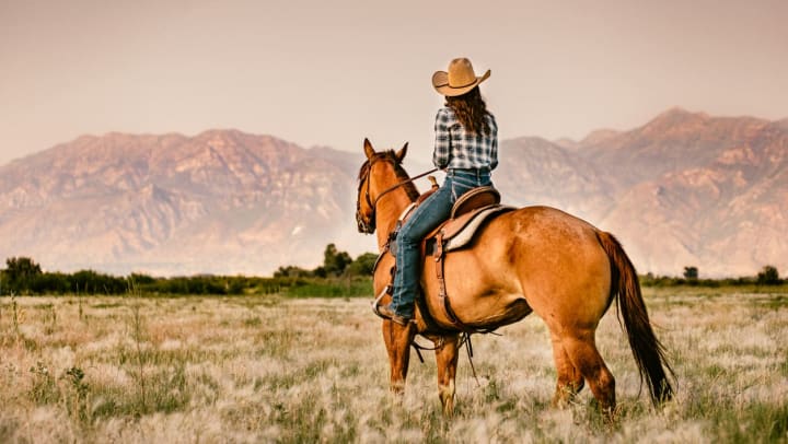 A girl sitting on a horse looking into the distance at the sunset and a large mountain range
