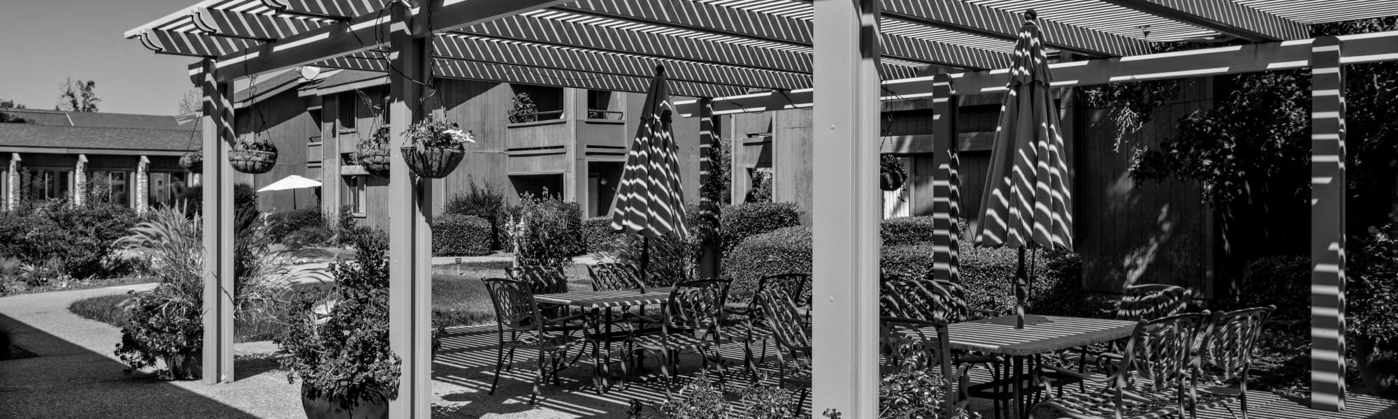 Our community at The Atrium at Carmichael in Carmichael, California.