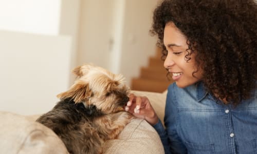 View the pet policy at Park Ridge Apartment Homes in Rohnert Park, California