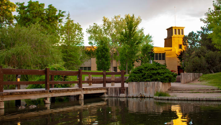 pond with bridge building and trees in the background | Landmarks at UNM