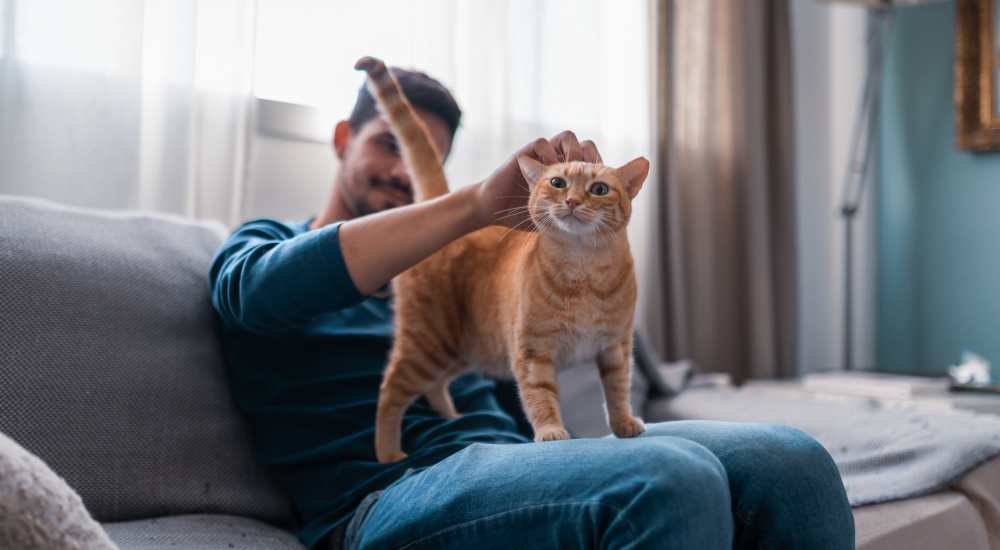 Resident with happy cat posing for a photo at Village Lake Townhomes in Smyrna, Tennessee