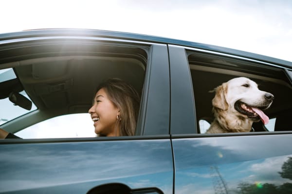 A resident driving with her dog in the backseat near Forest Edge Townhomes in Raleigh, North Carolina