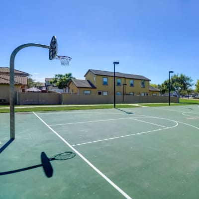 basketball court at Wire Mountain I in Oceanside, California