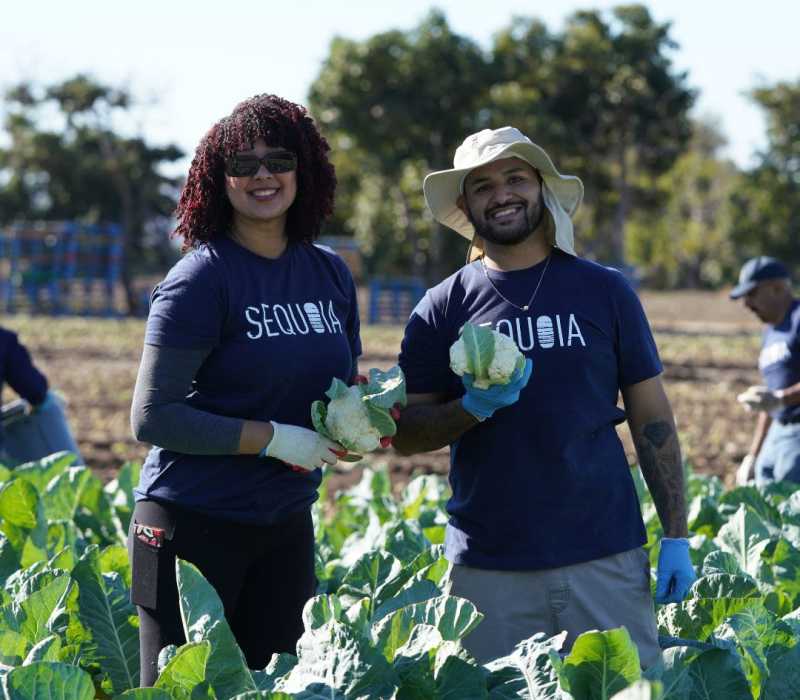 Sequoia employees having a purpose day at a local farm